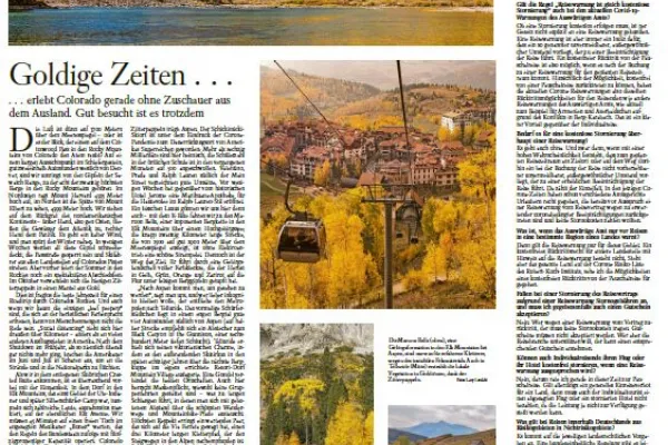 German Article