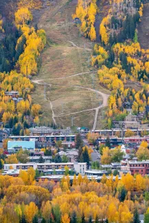 Downtown aspen with fall foliage 