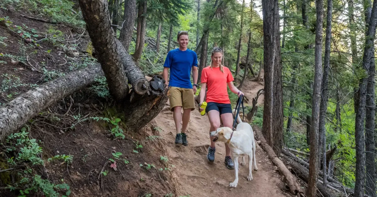 Dog Friendly Guide | Aspen Chamber