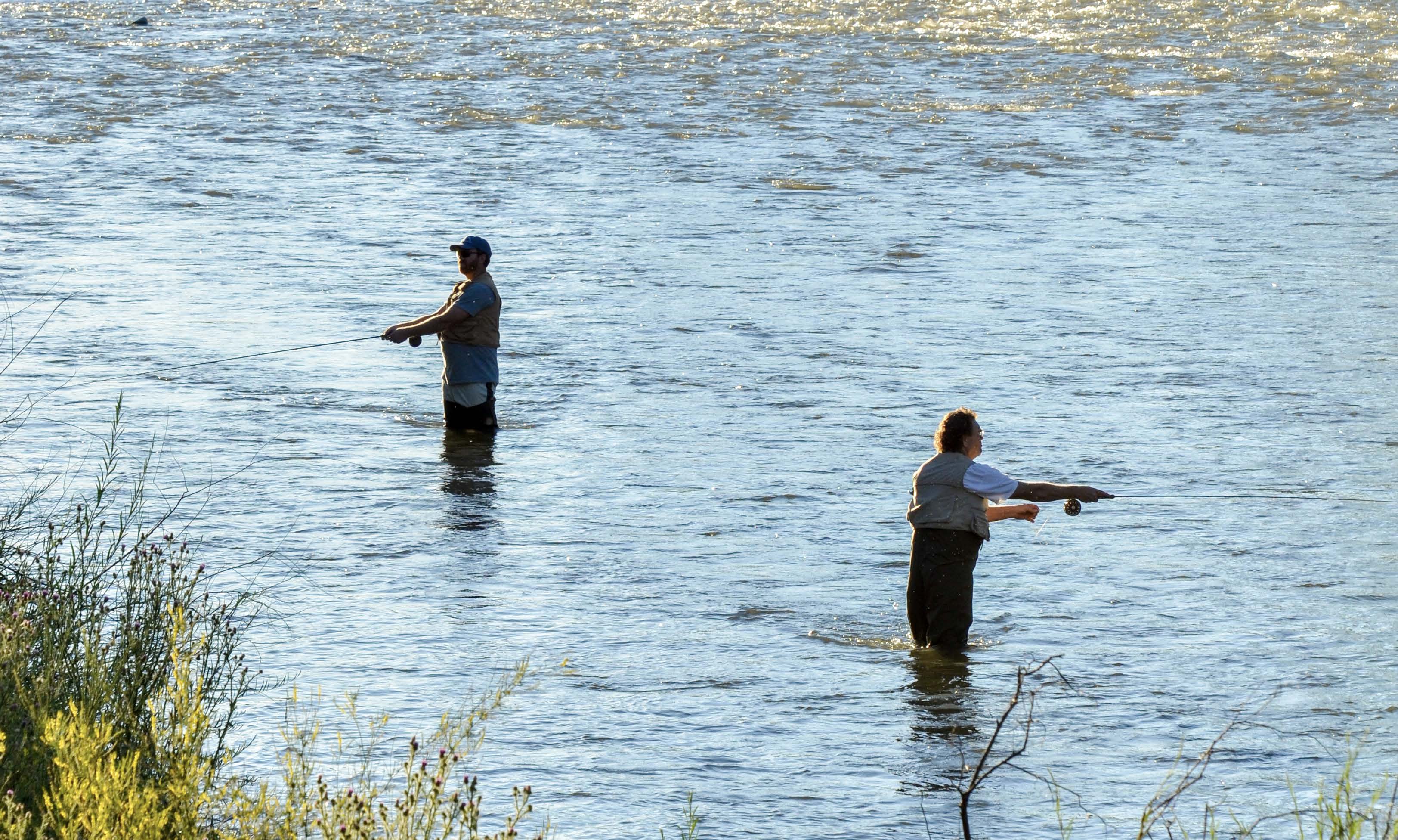 Fly fishing in Aspen