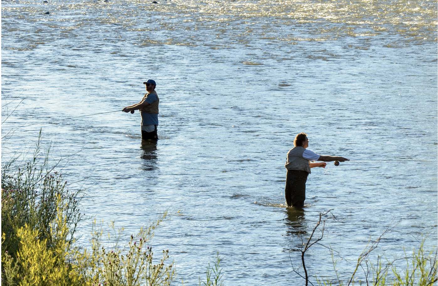 Fly Fishing in Aspen