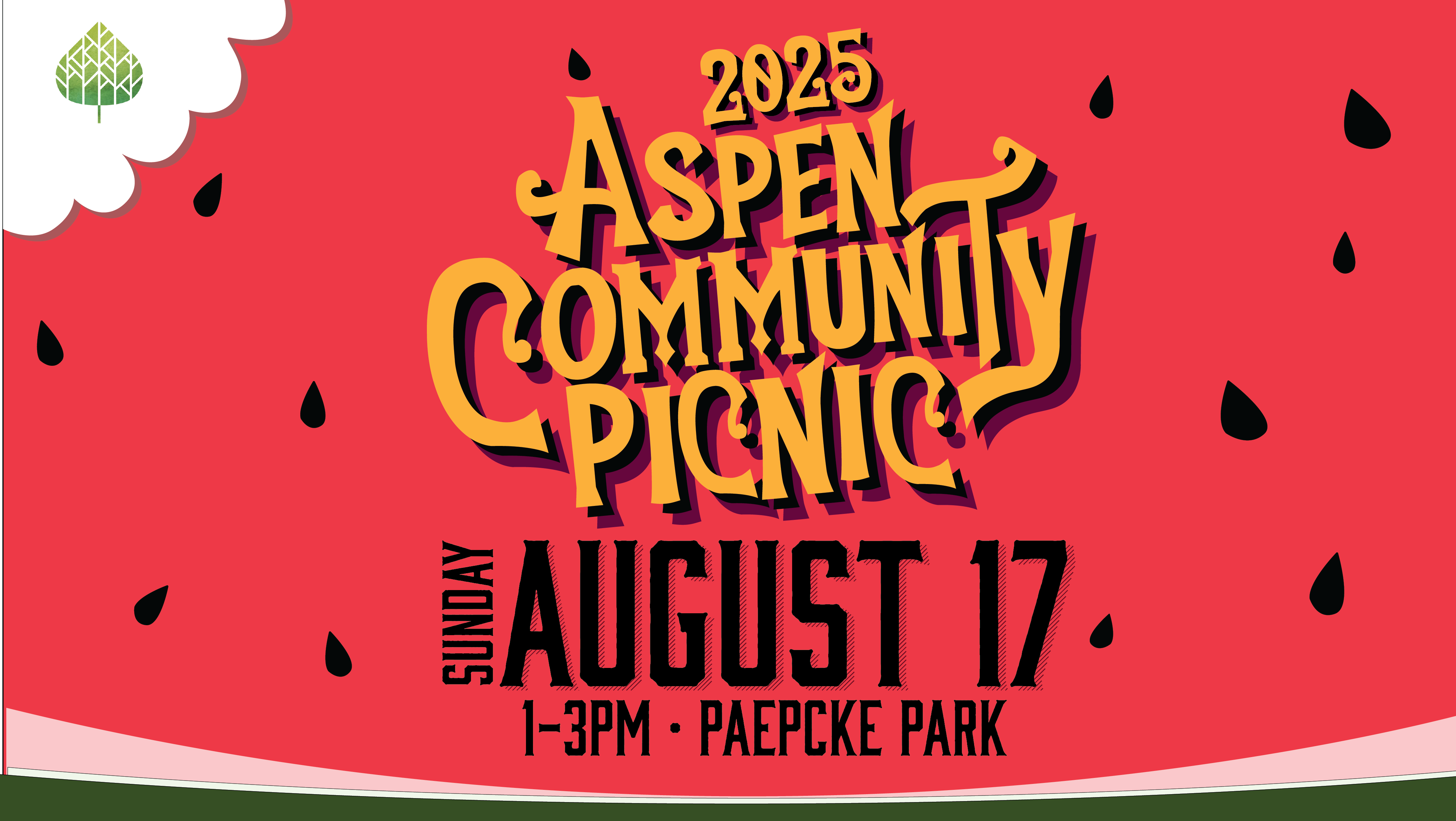 City of Aspen's Community Picnic