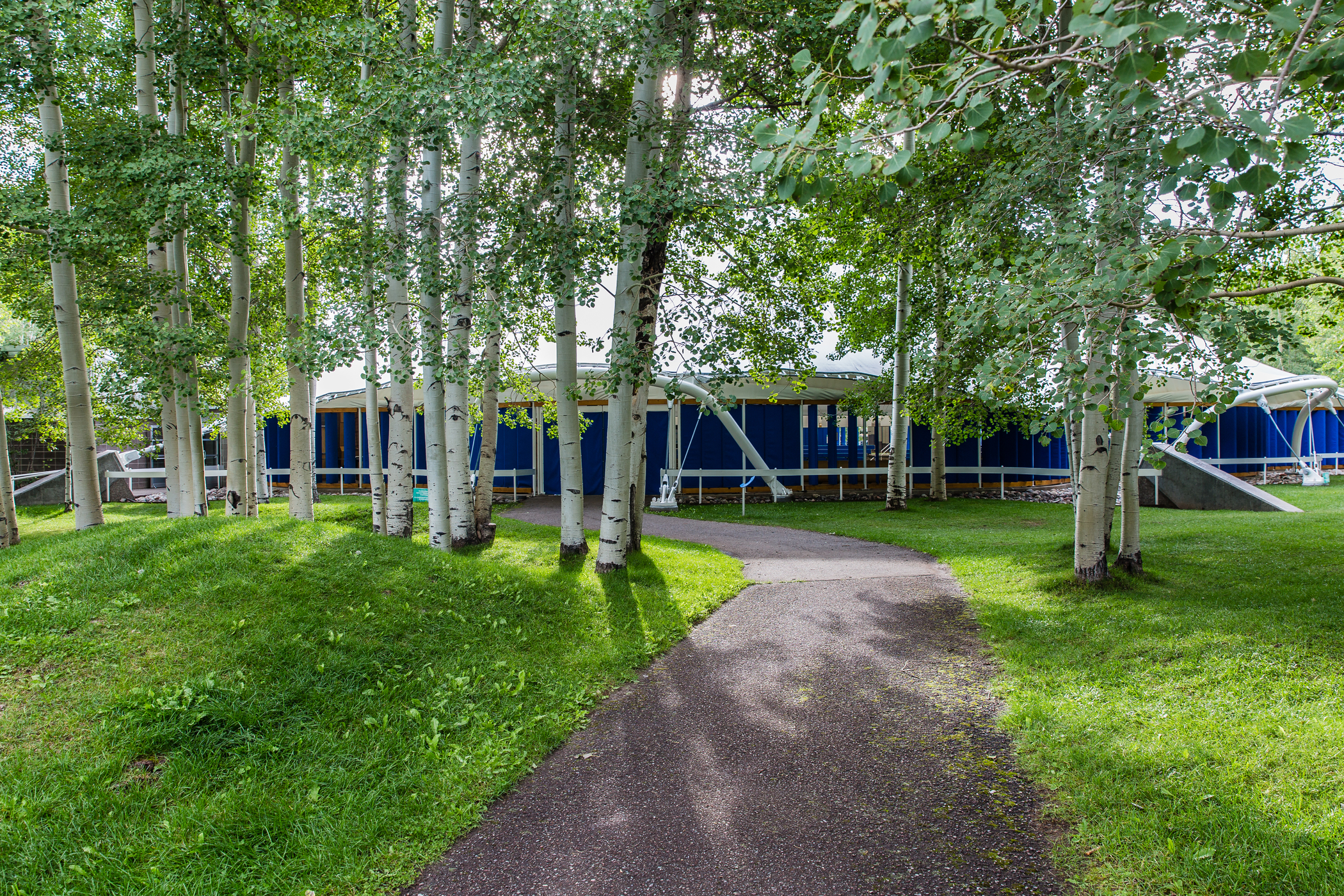 Aspen Music Festival and School Lawn
