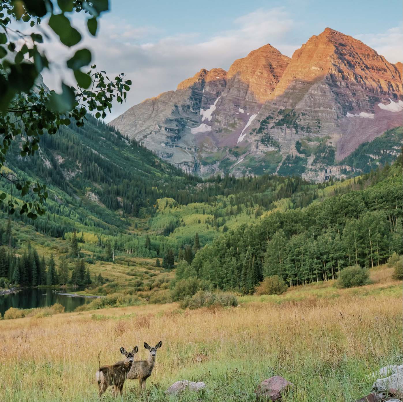 Wildlife at Maroon Bells in Aspen