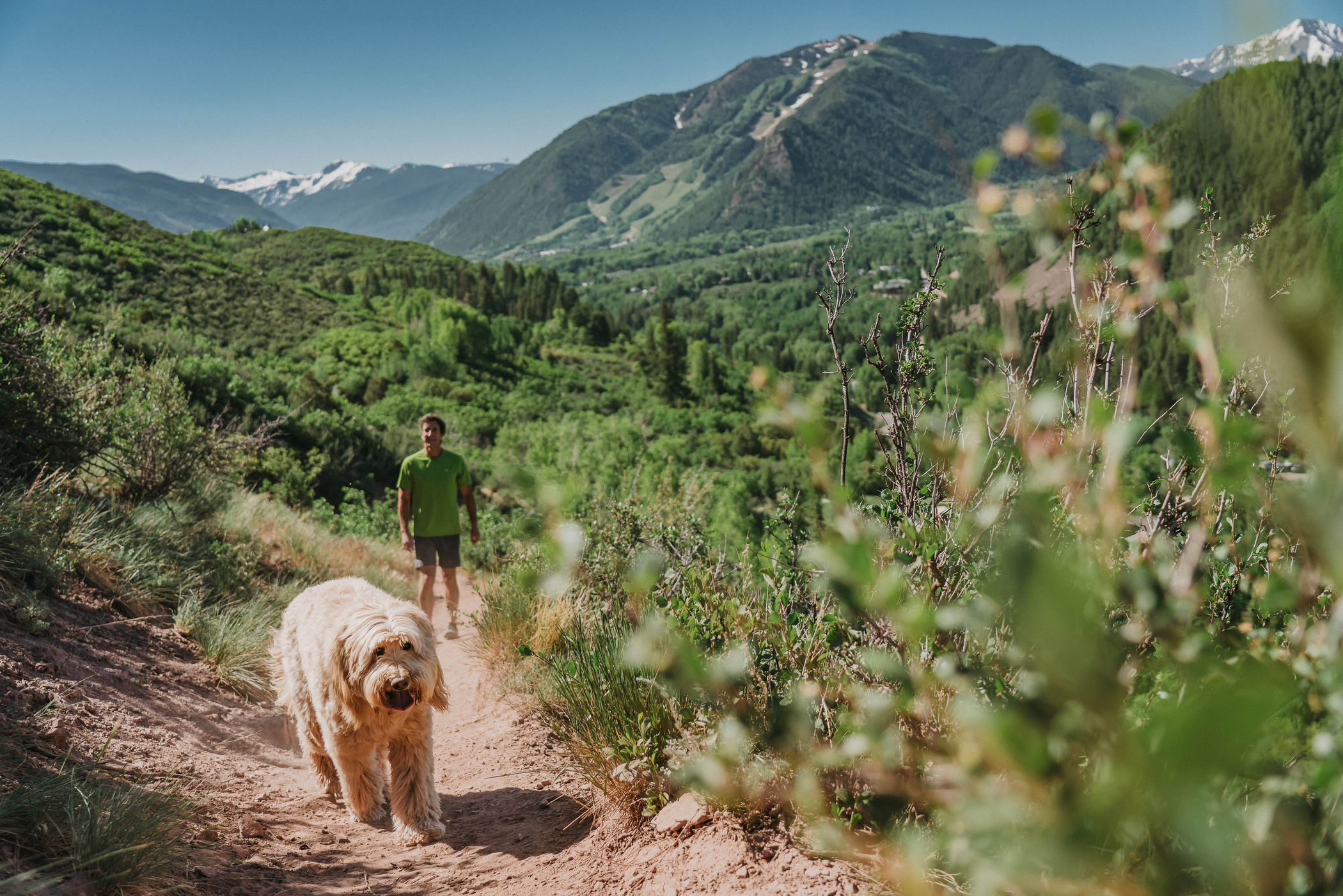 Sunnyside Trail Aspen