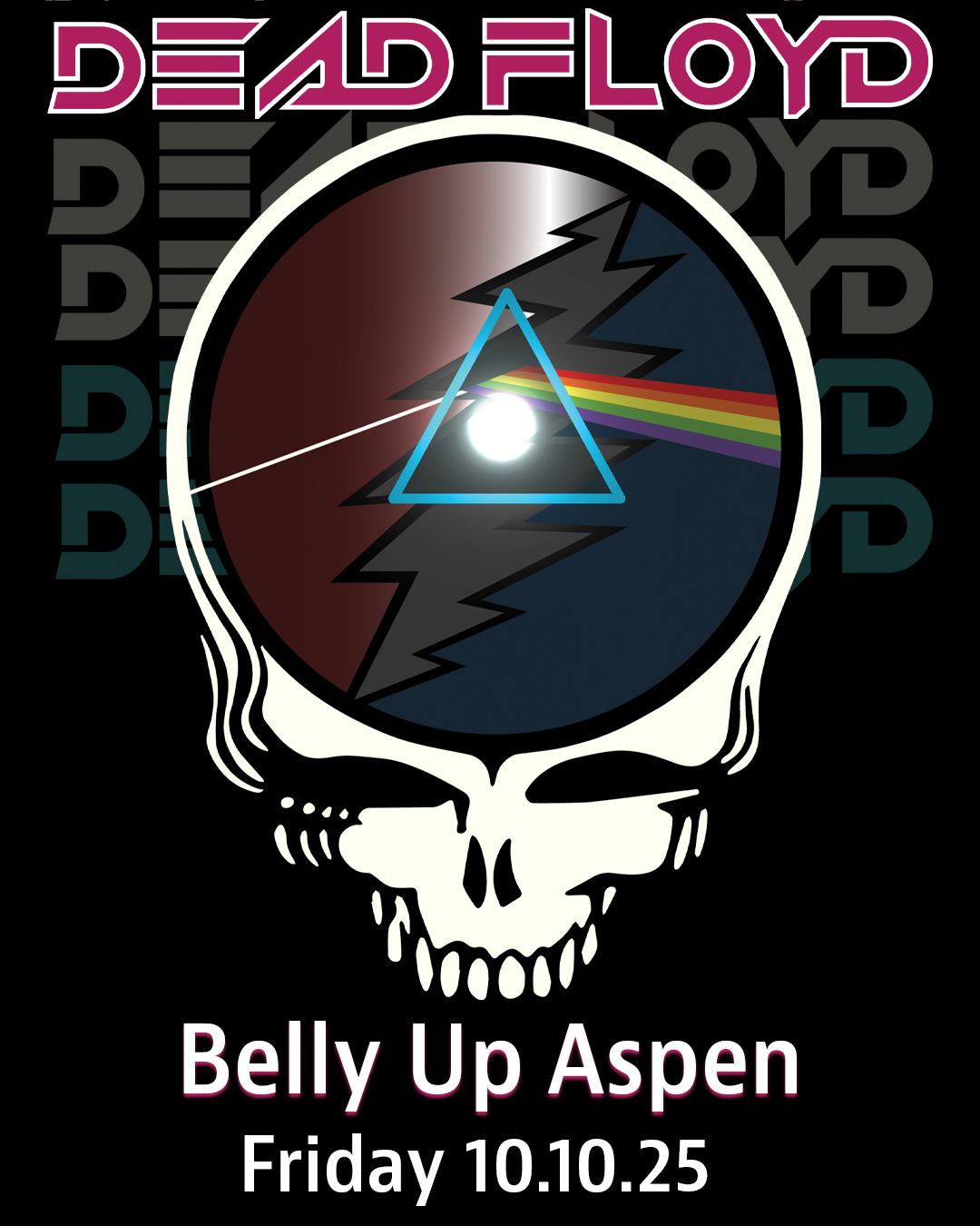 Belly Up Aspen Concert