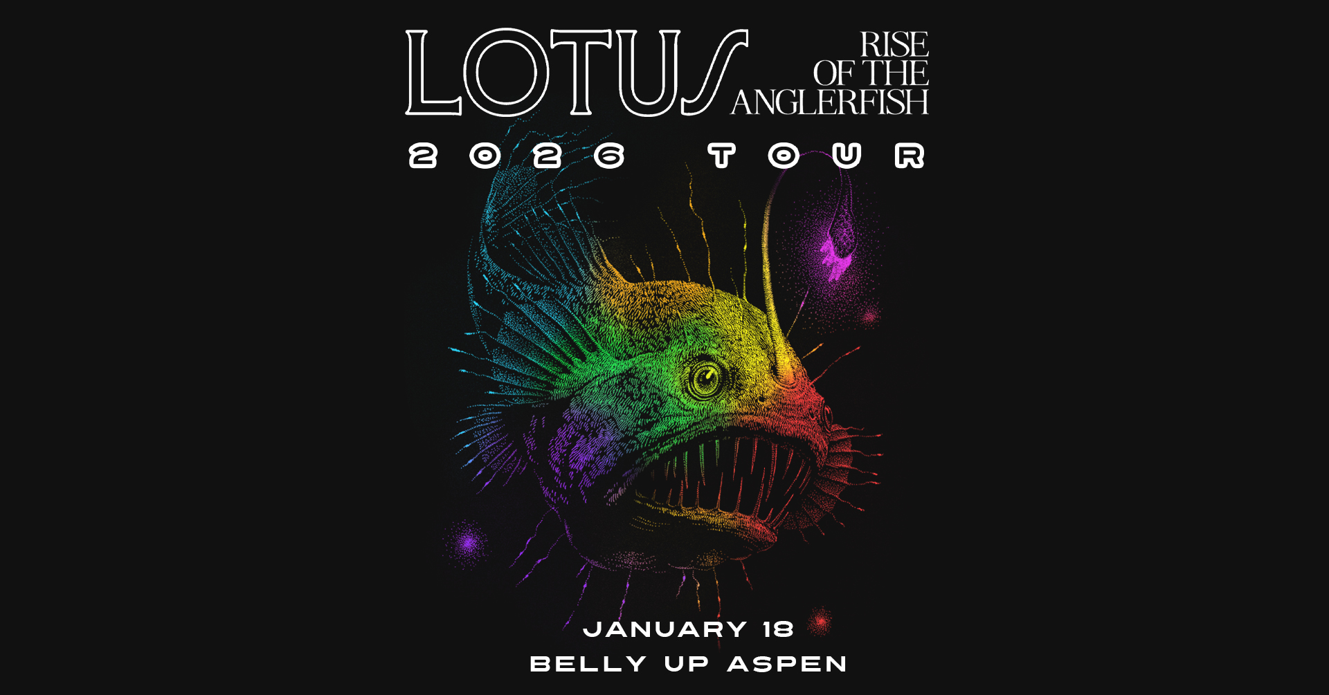 Lotus at Belly Up Aspen