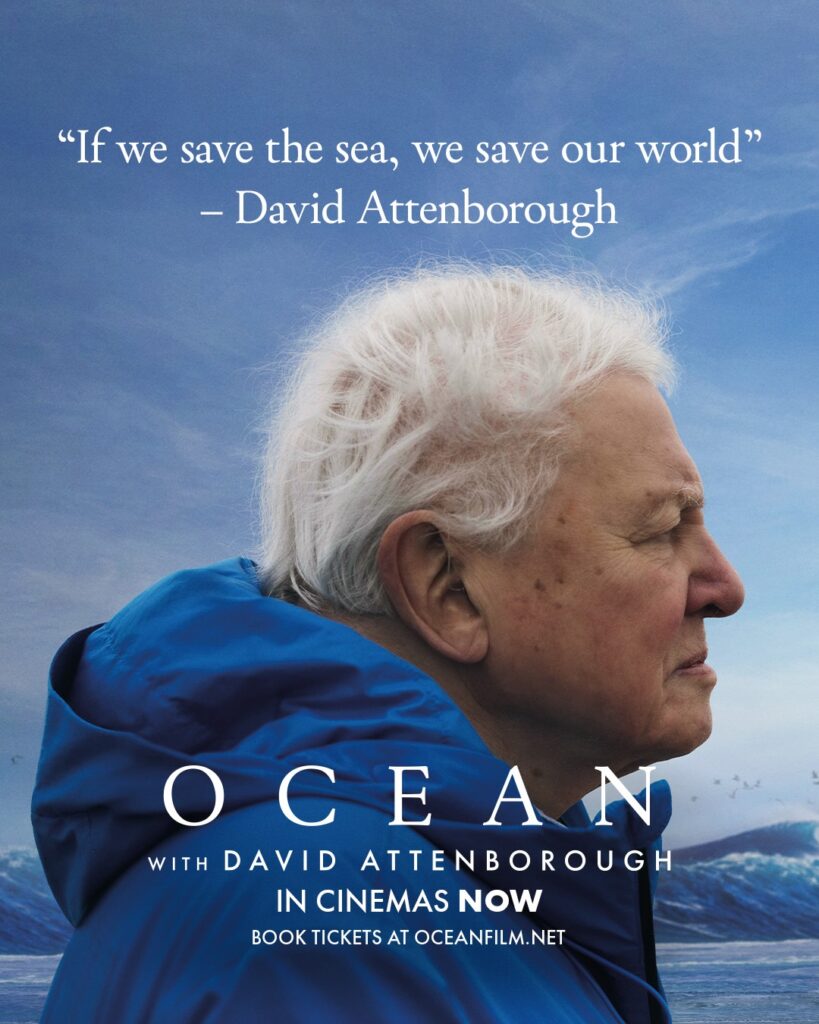 Aspen Film Screening