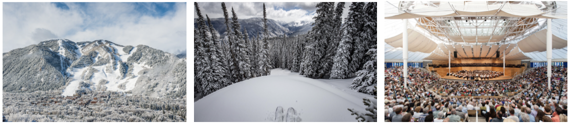 Bayer Center design team paying homage to iconic artist at Aspen Institute, News