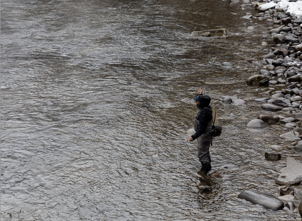 Fly Fishing in Aspen