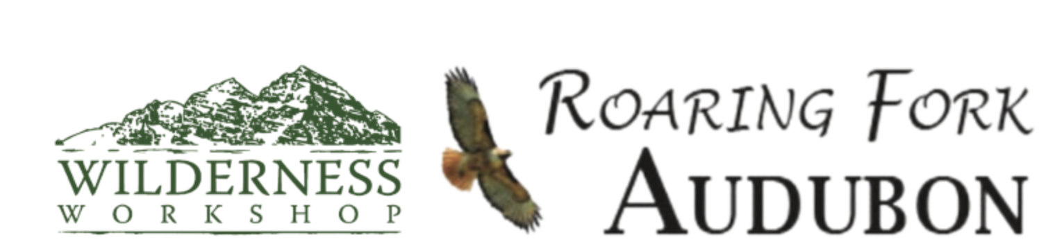 Naturalist Nights Aspen