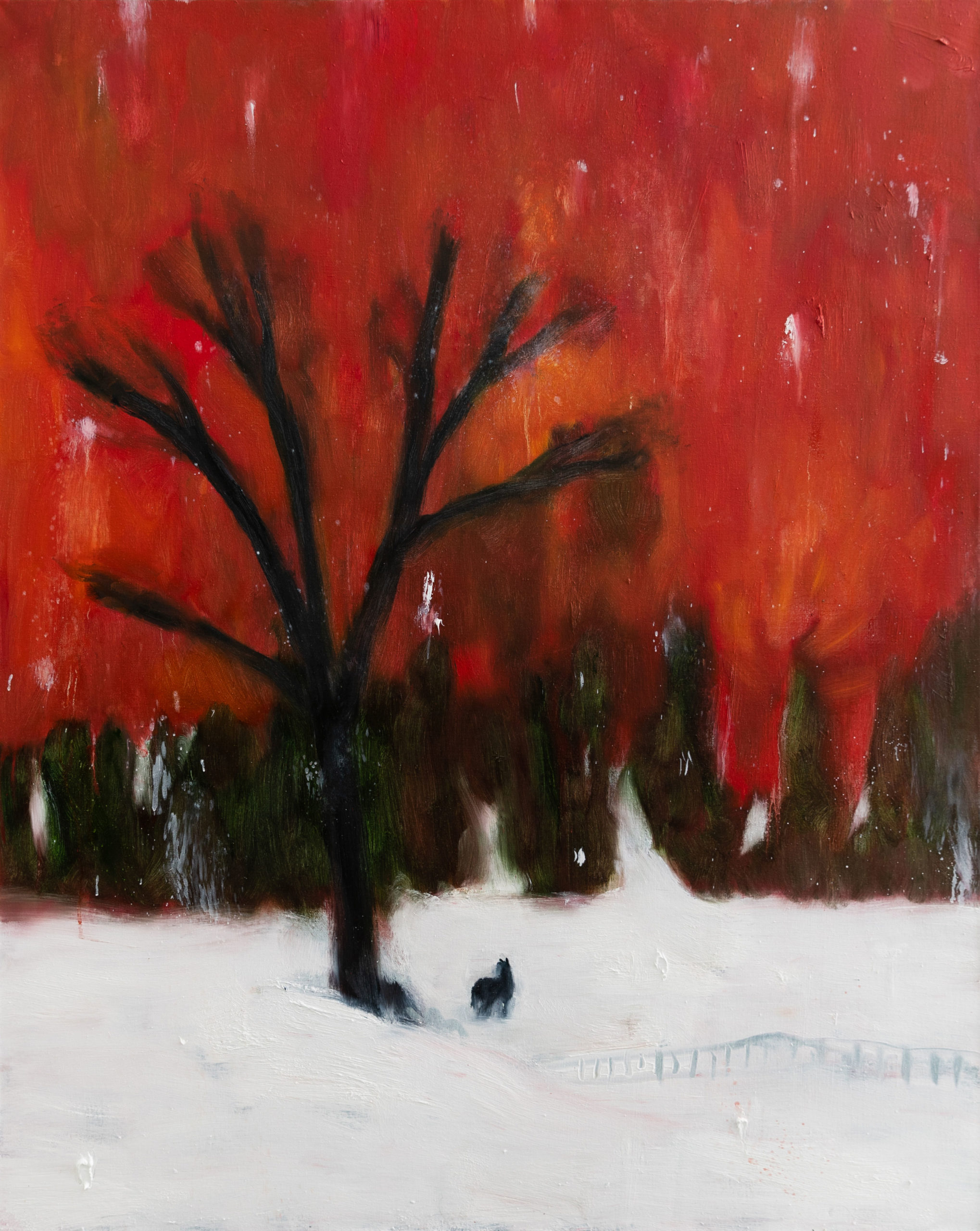 Suzy Murphy at Galerie Maximillian