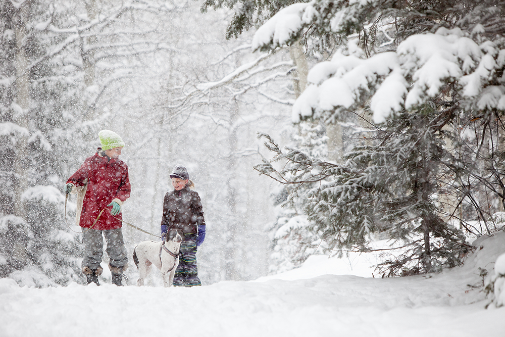 Winter Family Fun