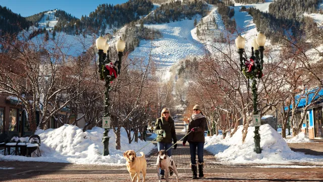 Winter pedestrian mall walking dogs