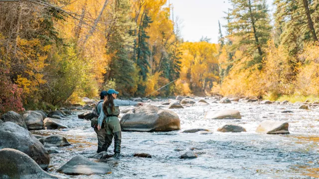 Fall Fly FIshing