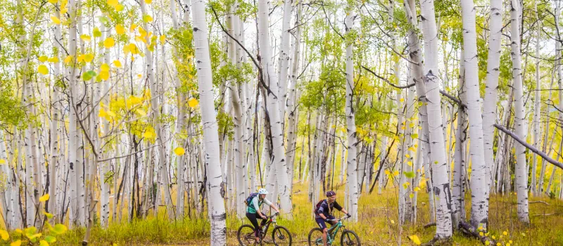 Fall Mountain Biking
