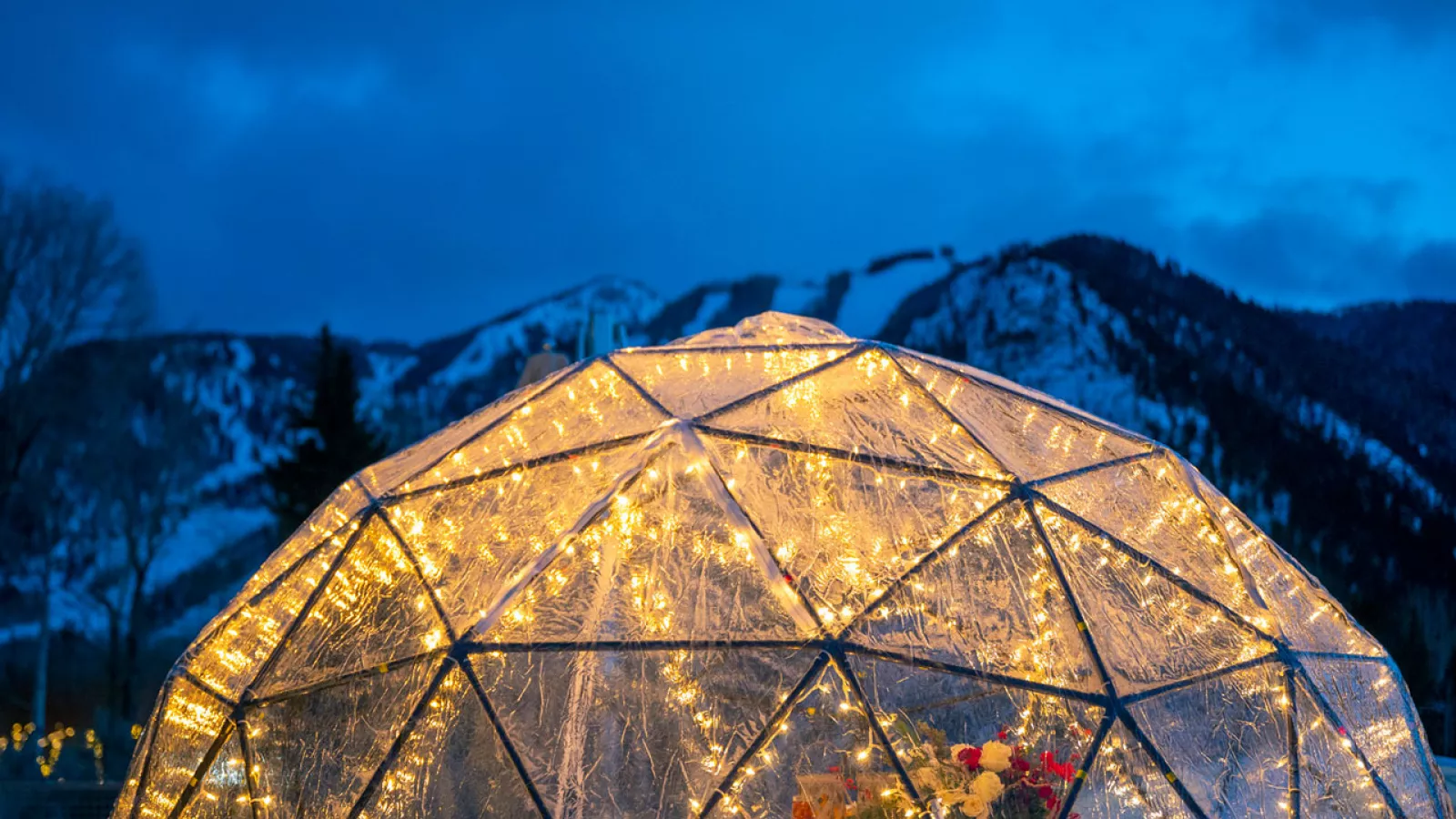 Igloo seating outlet restaurants