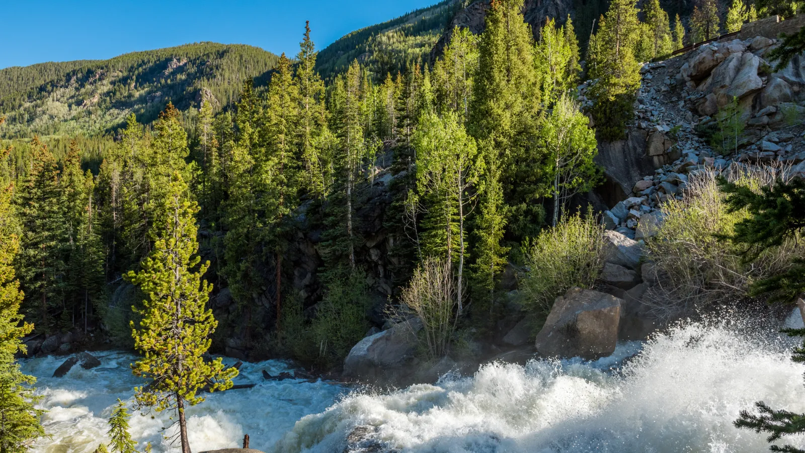 Spring in Aspen