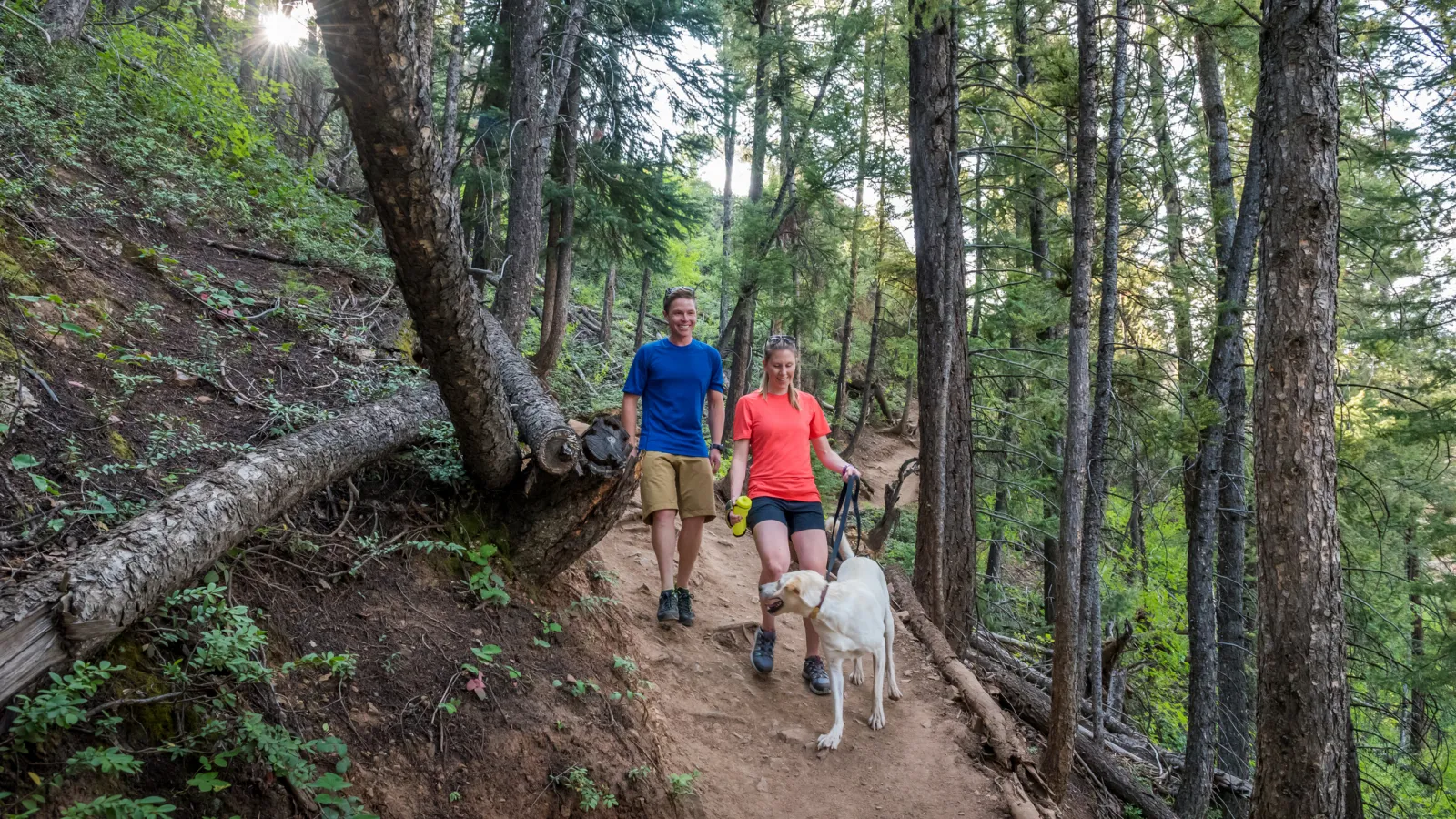 Hiking in Aspen