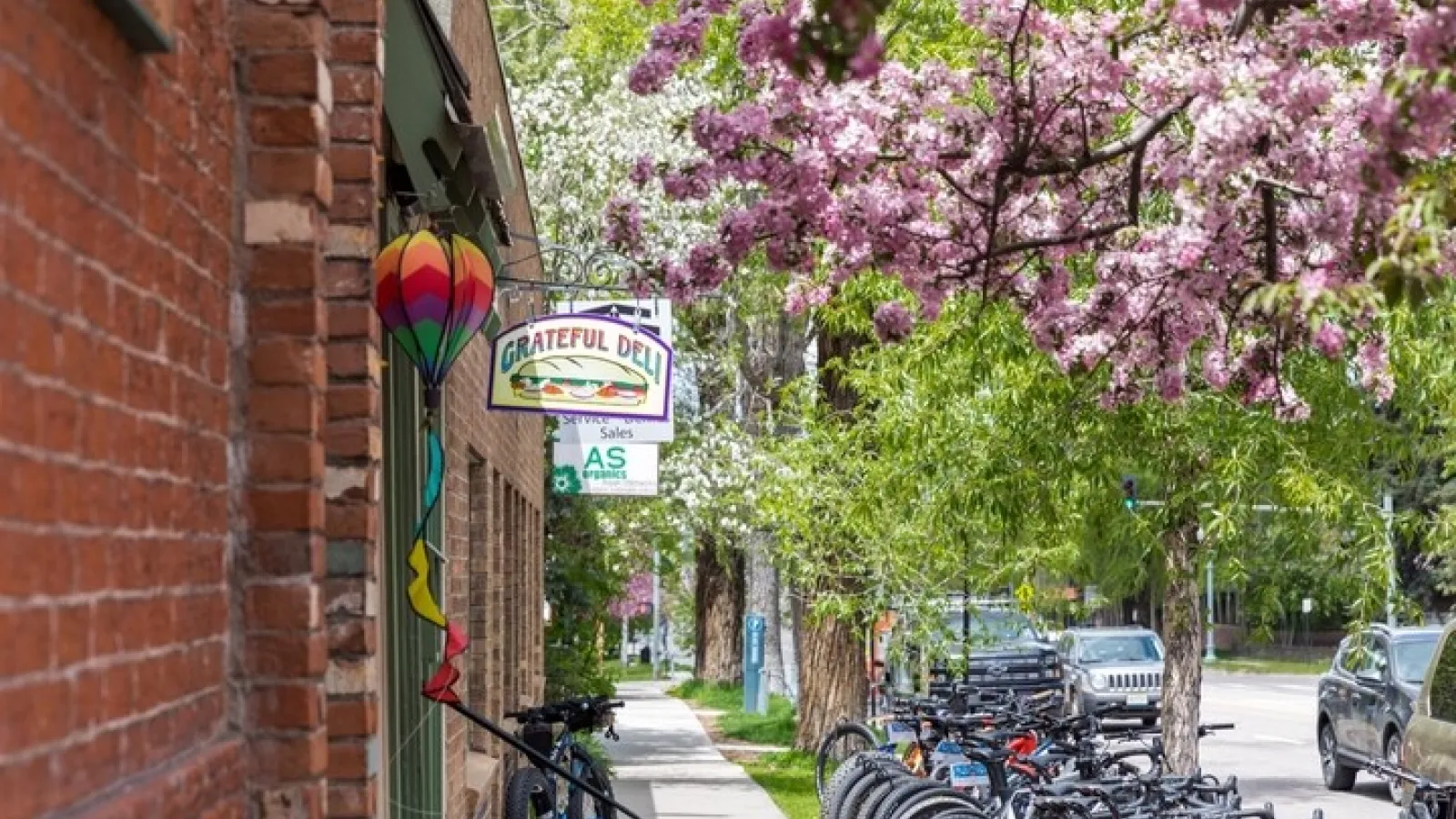 Spring in Aspen