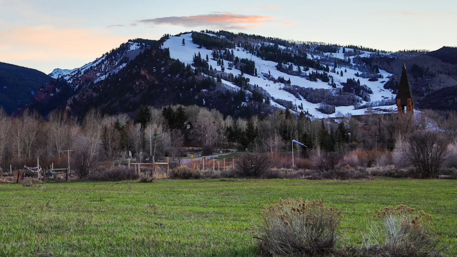Spring in Aspen