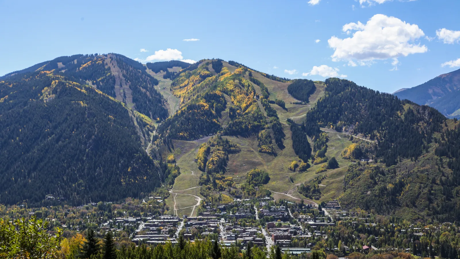 Fall in Aspen