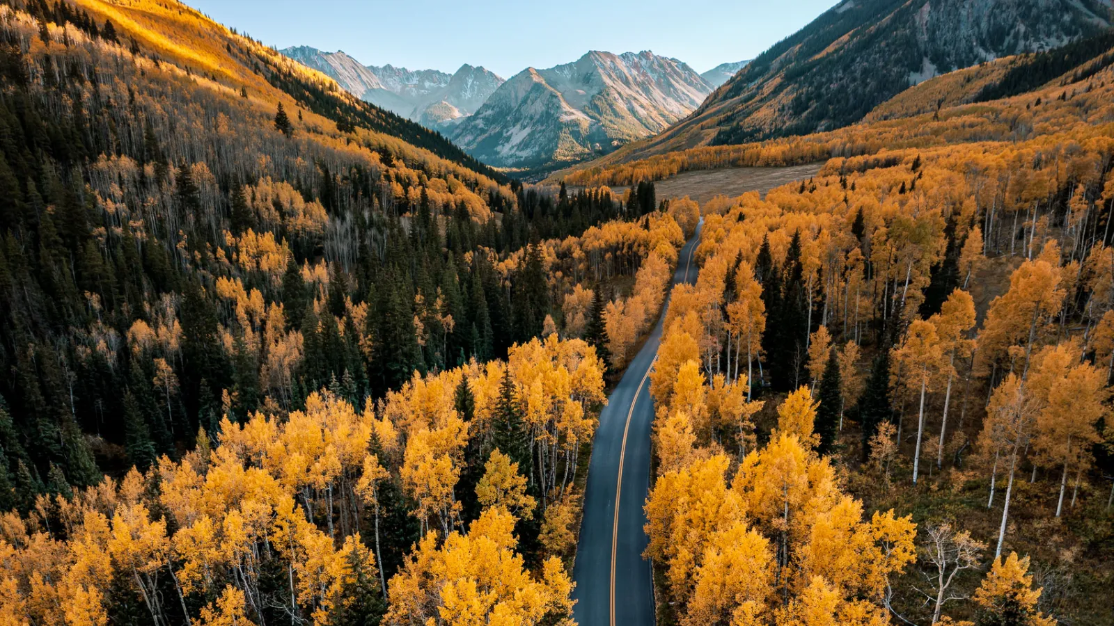 Fall Colors in Aspen, Colorado