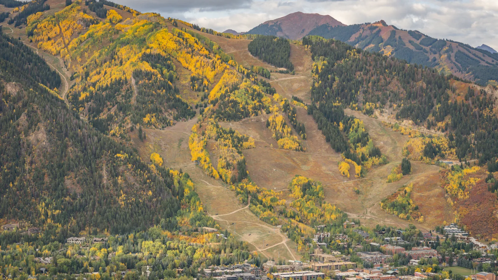 Fall Colors in Aspen, Colorado