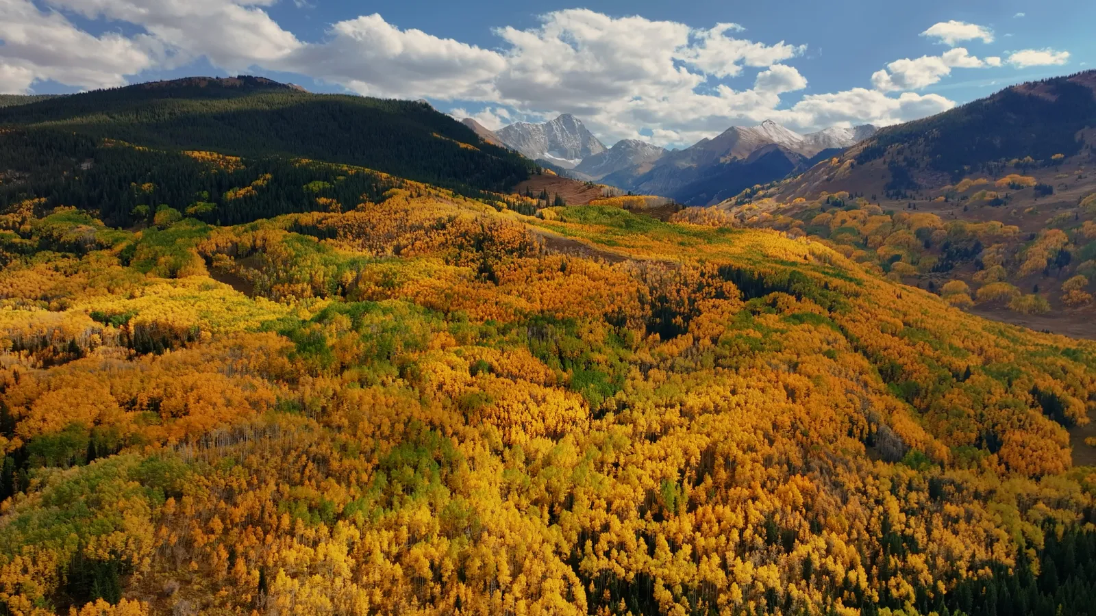 Fall in Aspen