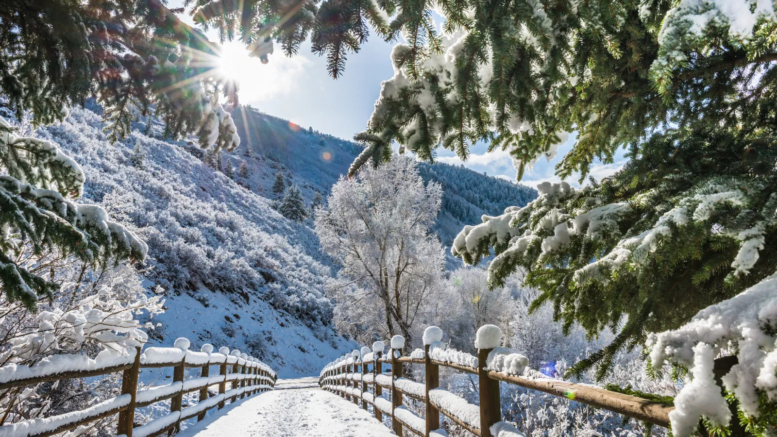 Health and Wellness in Aspen