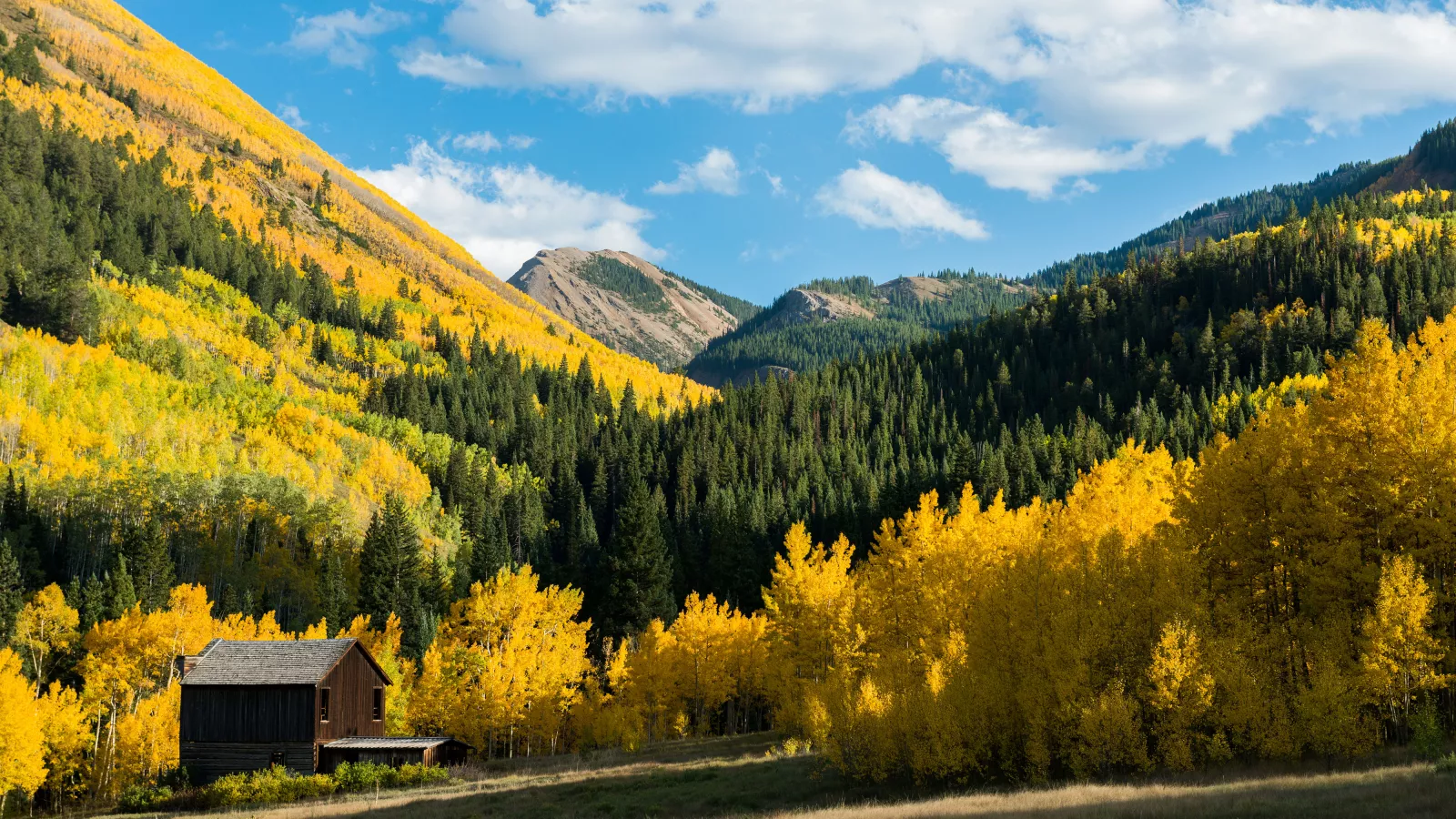 Fall selling Aspen