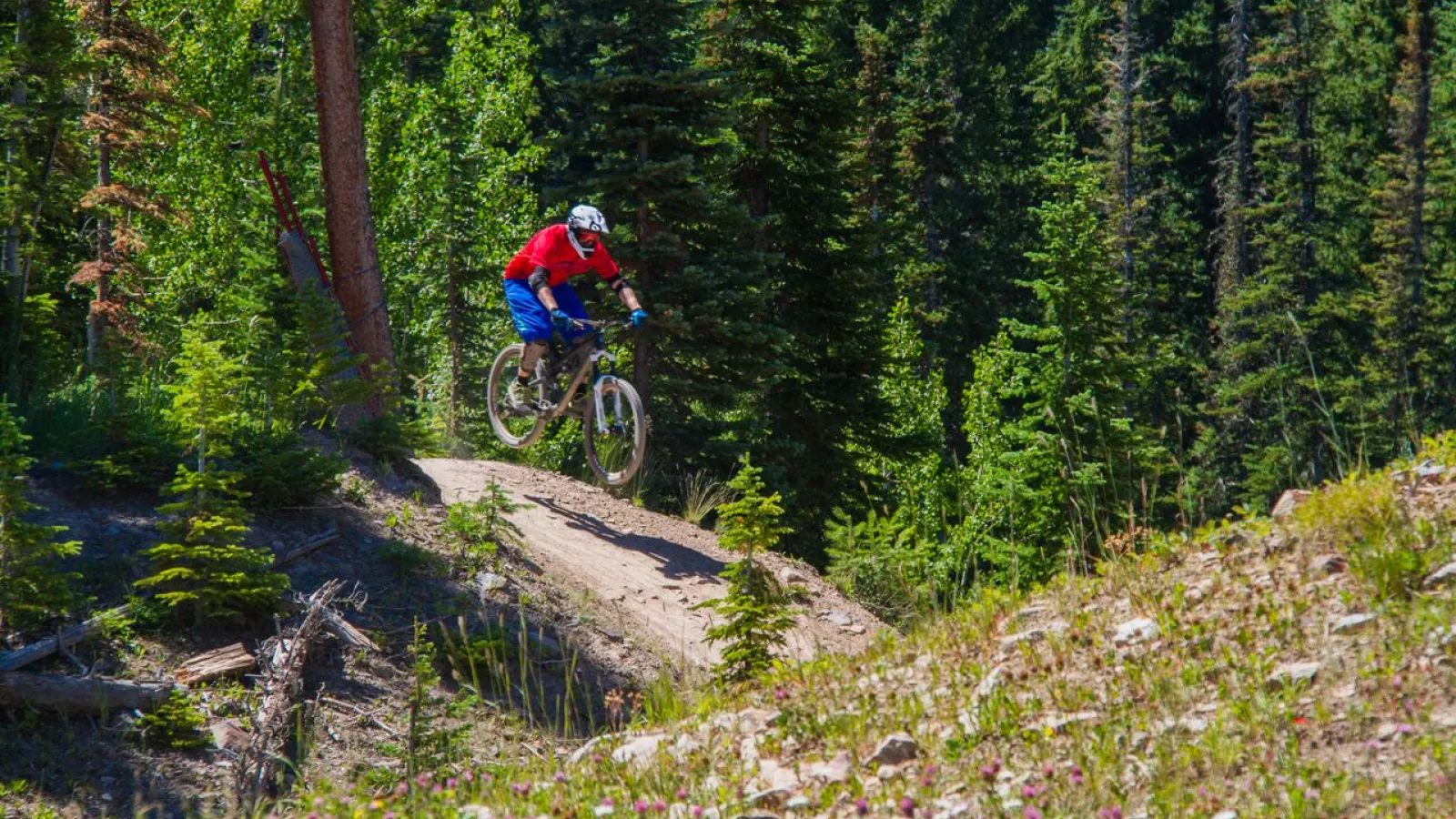 Top bike trails top