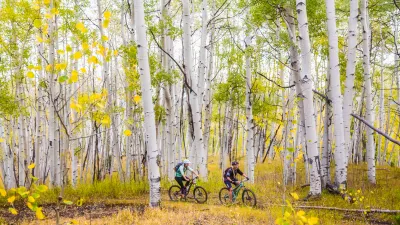 Fall Mountain Biking