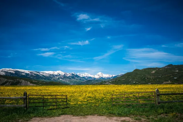 Spring field with snowy mountains