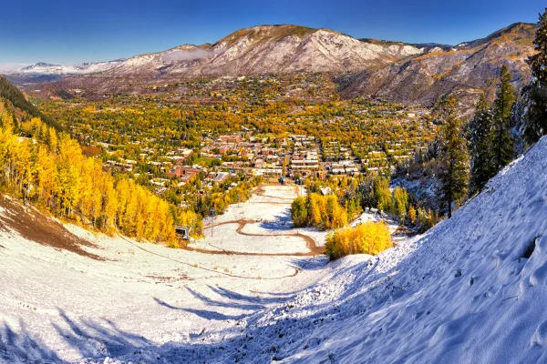 Aspen with snow and fall colors