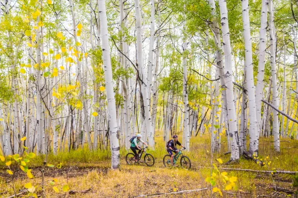 Fall Mountain Biking