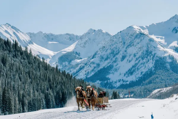 Sleigh Ride