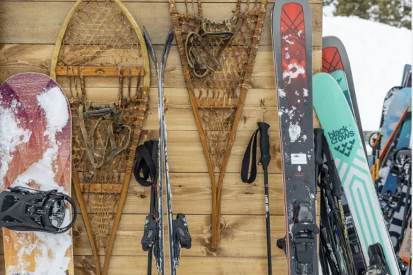 Snowshoes and skis