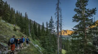 Hiking | Aspen