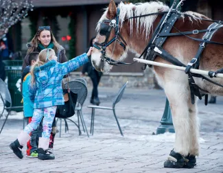 Winter Horse Carriage & Kids Downtown Aspen