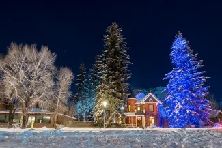 Aspen Tree Lighting 