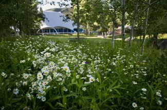 Aspen Music School Festival tent and flowered lawn
