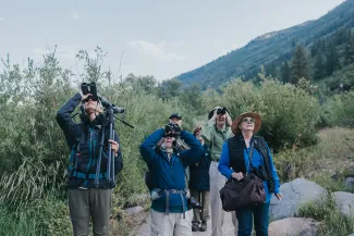ACES Birding