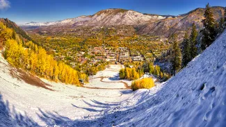 Aspen with snow and fall colors