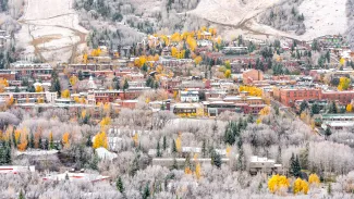 Overview of town with yellow leaves