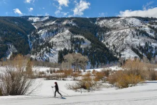 Cross Country Skiing