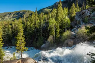 Spring in Aspen