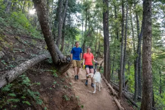Hiking in Aspen