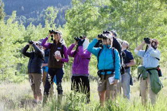ACES birding event