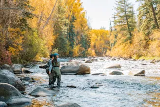 Fall Fly FIshing
